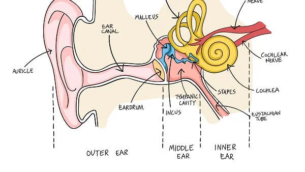 How to Pop Your Ears Correctly - and Safely! | Hearclear